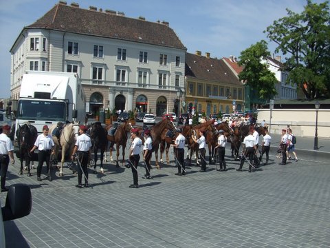 2014 Budai vár